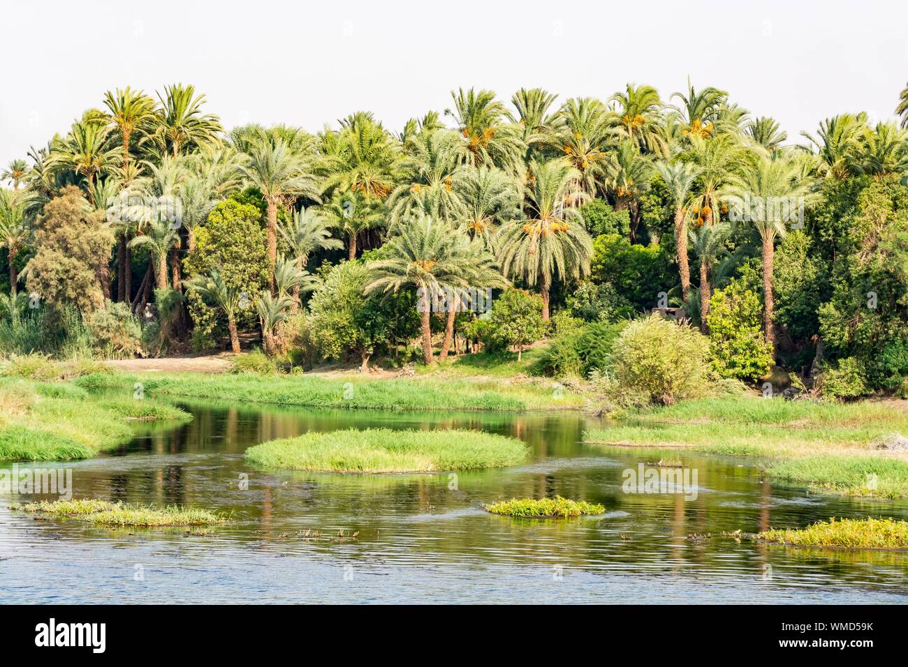 Bank von Nil während der touristischen Kreuzfahrt gesehen, Ägypten Stockfoto