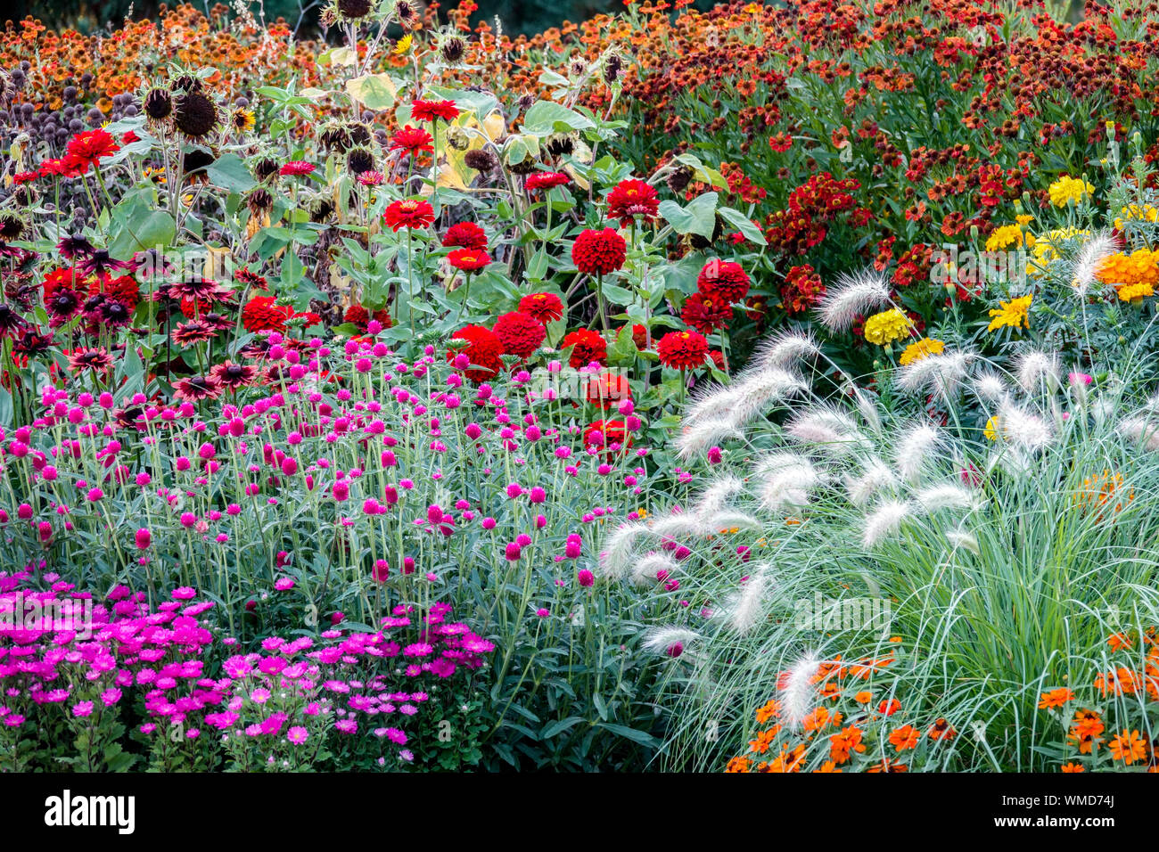 Schöne Blume Garten Blumen Mehrjährige Jährliche Pflanzen Bunte Bett Border Cottage Garten Blumenbeet August Bunte Gemischte Bett Mix Szene Atemberaubend Stockfoto