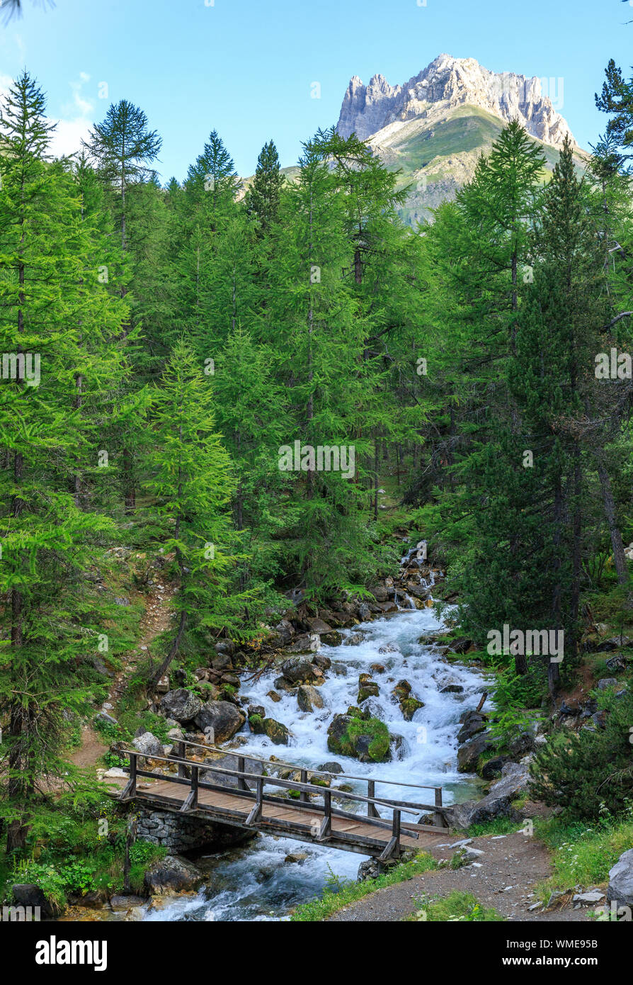 Frankreich, Hautes-Alpes, Nevache, Etroite Tal, Etroite Valley Stream in der Nähe des grünen See und den Mont Thabor im Hintergrund // Frankreich, Hautes-Alpes Stockfoto