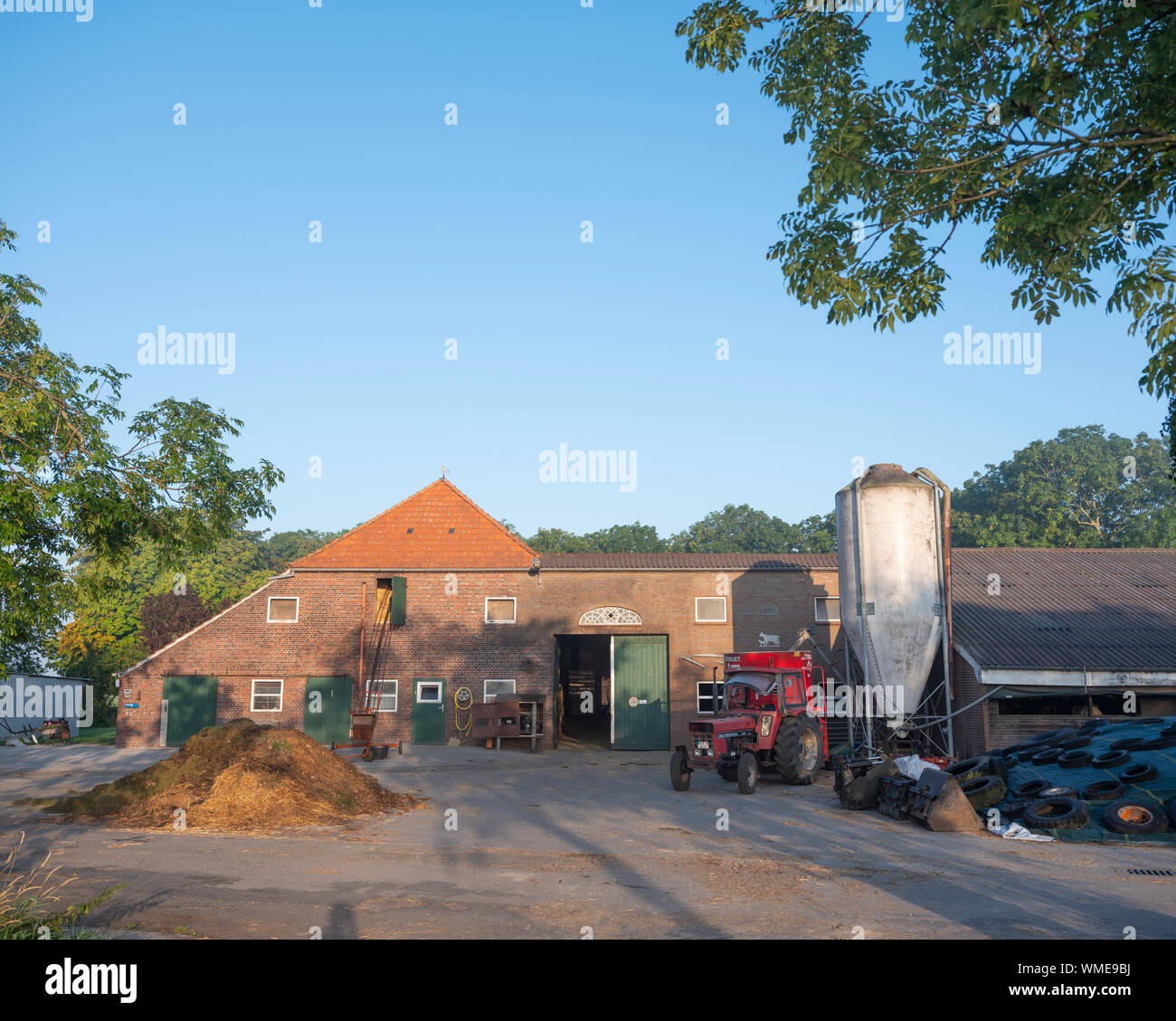 Hof der Molkerei in norddeutschen Ostfriesland an sonnigen Sommermorgen Stockfoto