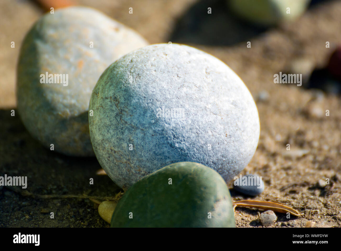 Schöne, weiche, Steine fotografiert an einem Kieselstrand in Griechenland. Eine kleine Olive Branch können zwischen der kleinen Steine gesehen werden. Stockfoto