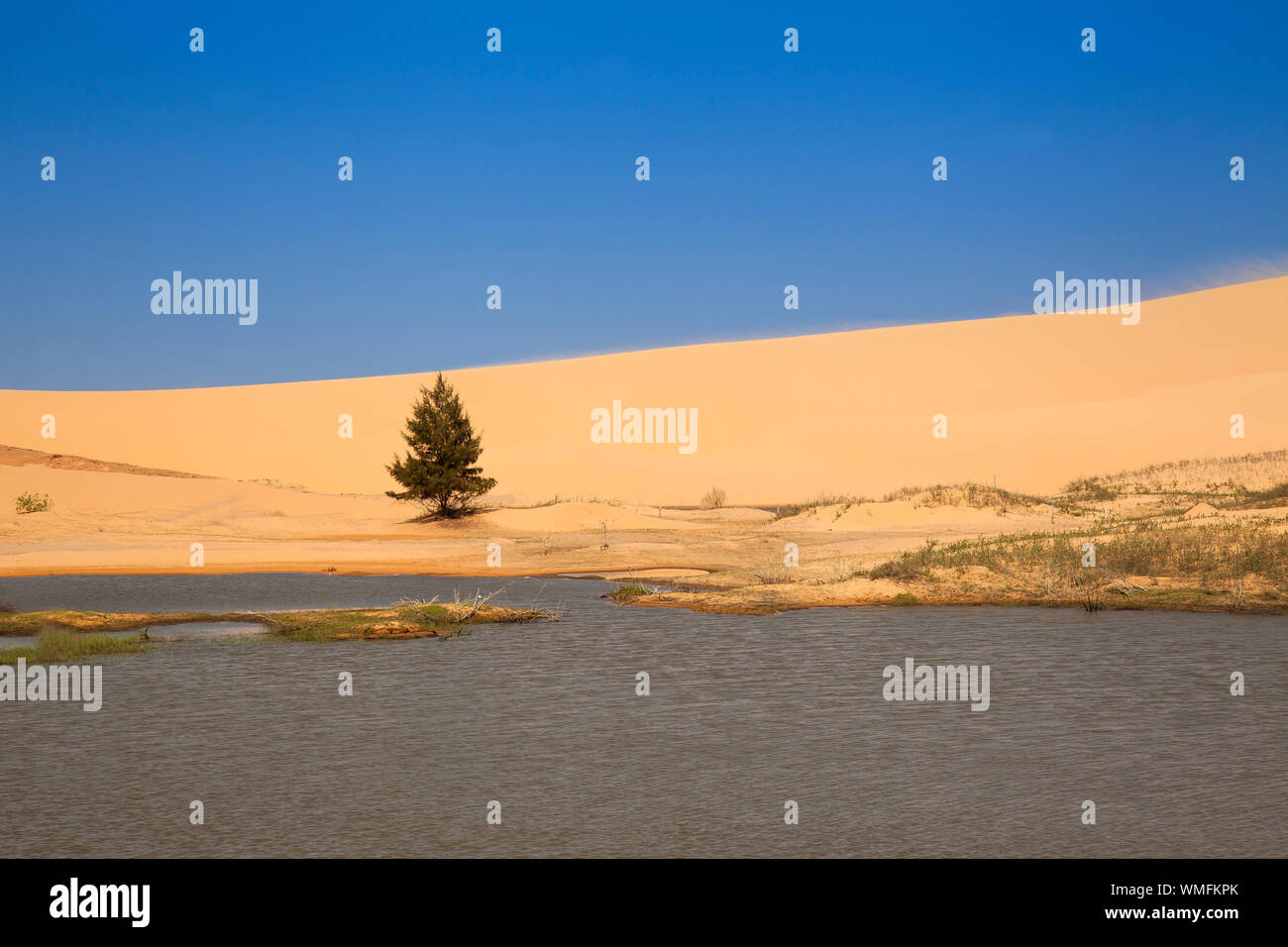 Sanddünen in der Nähe von Phan Rang, Ninh Thuan, Vietnam, Asien Stockfoto