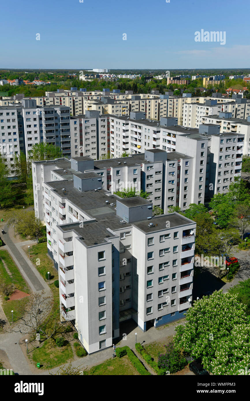 Wohnhaeuser, Magistratsweg, Rudolf-Wissel-Siedlung, Staaken, Spandau, Berlin, Deutschland Stockfoto