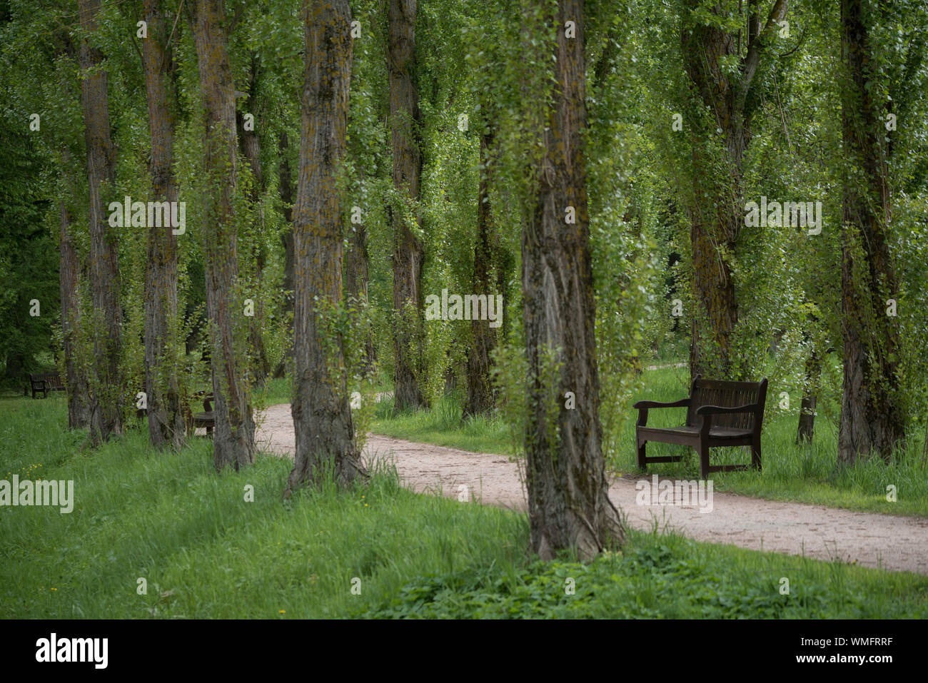 Schloss Garten, Bad Mergentheim, Taubertal, tauber-Franken, Baden-Württemberg, Heilbronn - Franken, Deutschland Stockfoto