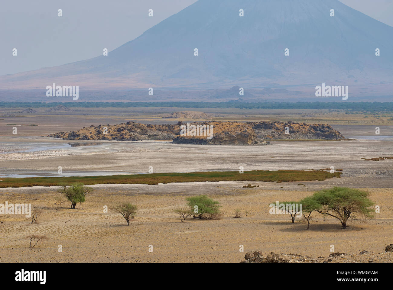 Ausgetrocknet Lake Natron mit dem Vulkan Oldoinyo Lengai im Hintergrund Stockfoto
