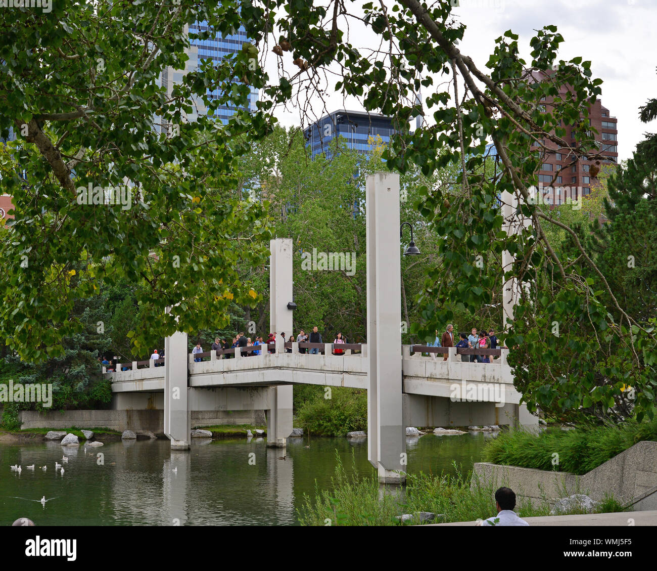 Von Prince's Island Park der Bow River Weg gesehen ist eine beliebte Route der nahe gelegenen Stadt Umgebung zu entkommen. Stockfoto