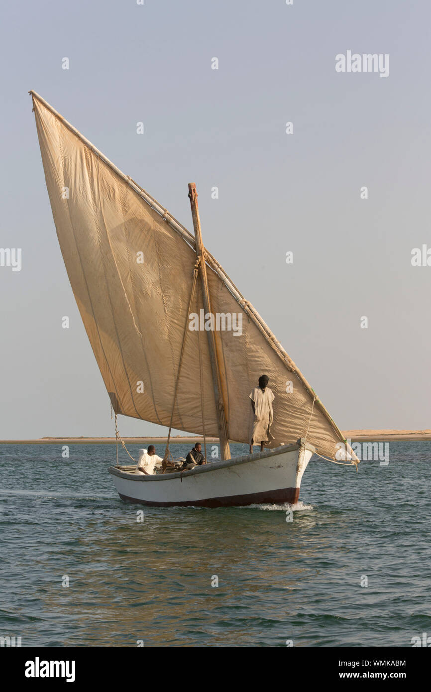 Nationalpark Banc d'Arguin, Mauretanien Stockfoto