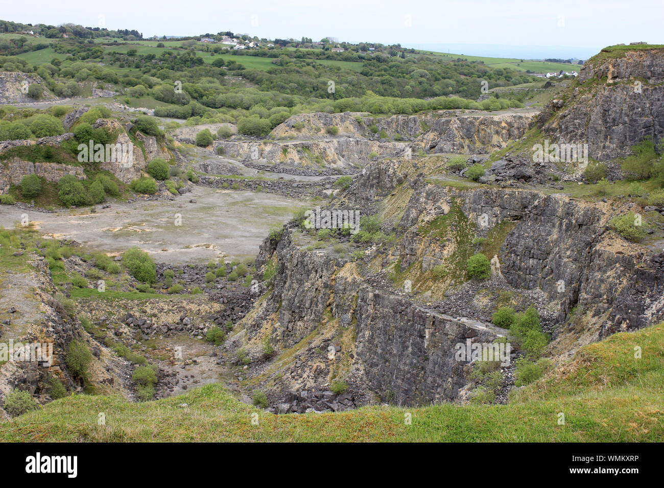 Minera Steinbruch - ein ehemaliger Tagebau Kalksteinbruch jetzt ein North Wales Wildlife Trust Naturschutzgebiet Stockfoto