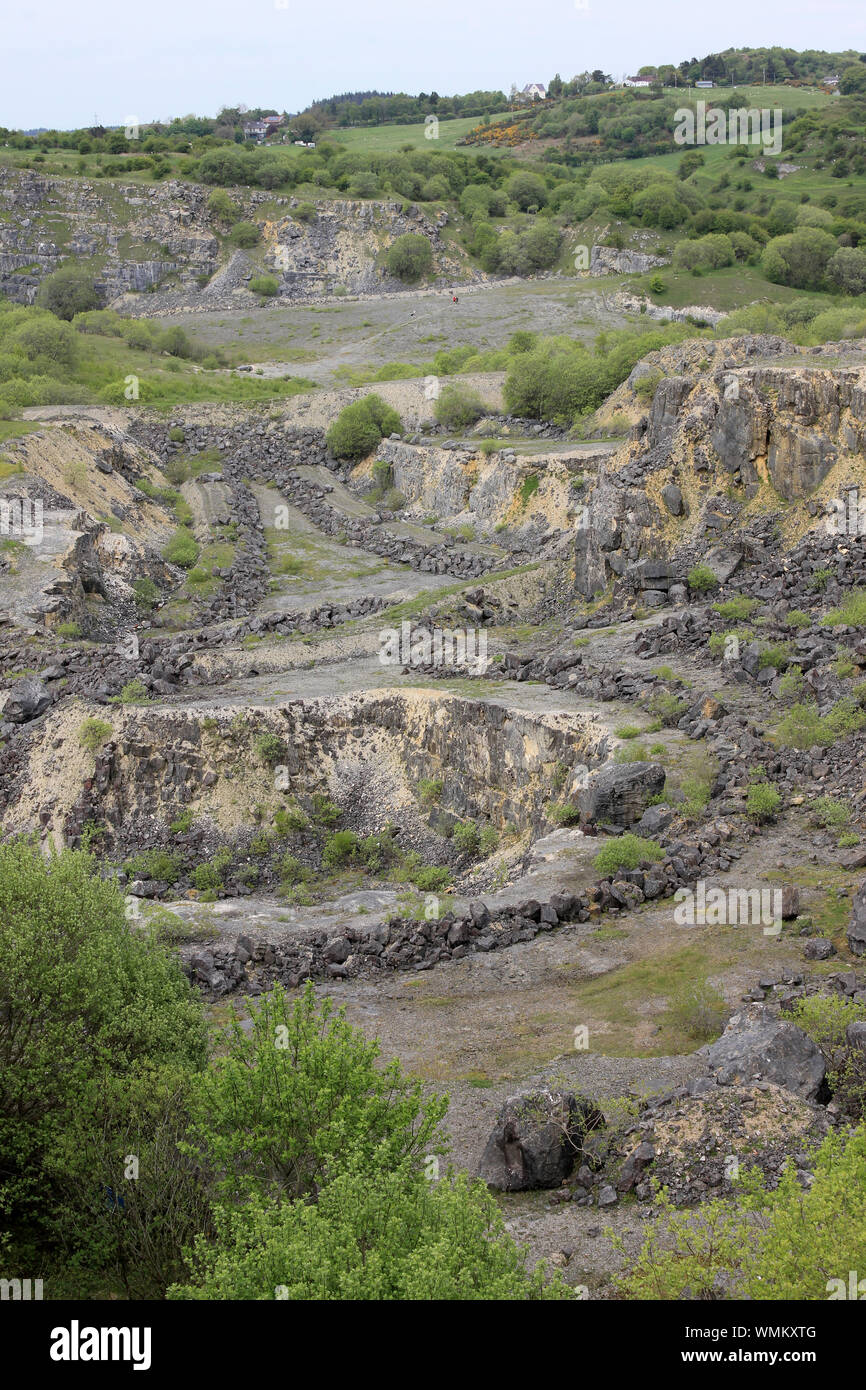 Minera Steinbruch - ein ehemaliger Tagebau Kalksteinbruch jetzt ein North Wales Wildlife Trust Naturschutzgebiet Stockfoto
