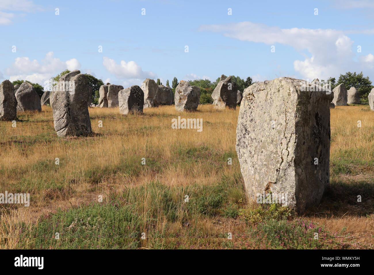 Alignements de Kermario, Zeilen der stehenden Steine - Menhire, die größte Megalithen in der Welt, Carnac, Bretagne, Frankreich Stockfoto