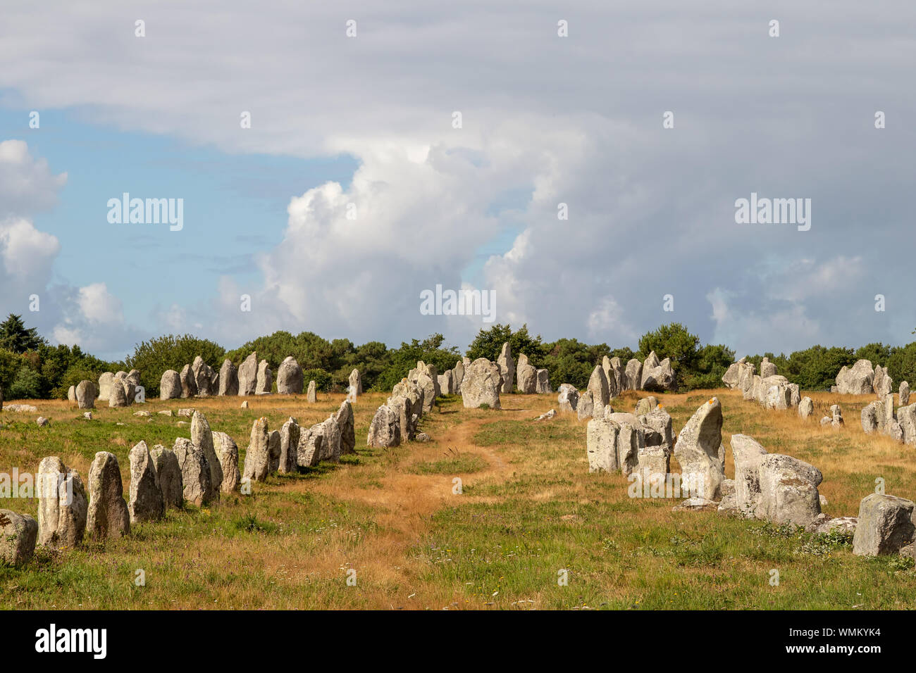 Alignements de Kermario, Zeilen der stehenden Steine - Menhire, die größte Megalithen in der Welt, Carnac, Bretagne, Frankreich Stockfoto