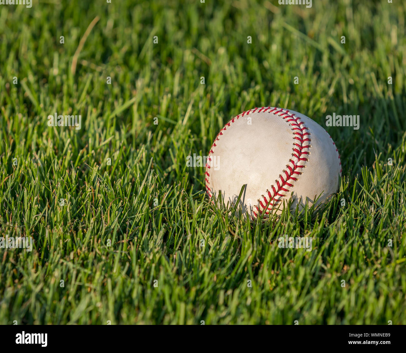 Nahaufnahme des Baseballs in grüne Gras auf dem Feld an einem sonnigen Tag Stockfoto