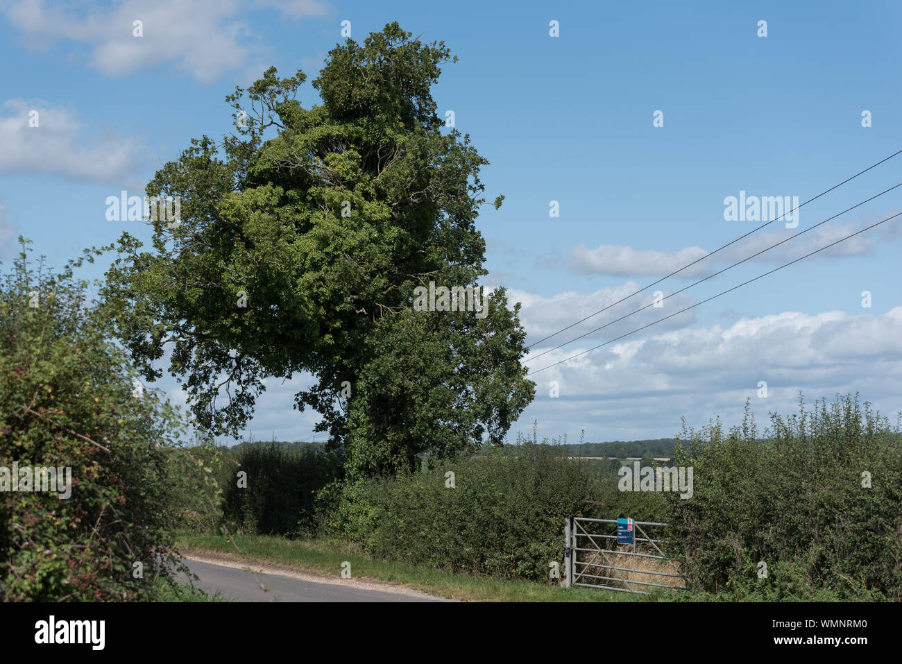 Felder in der Landschaft Seite Schönheit auf einem Sommertag mit sanften Hügeln Downs Stockfoto