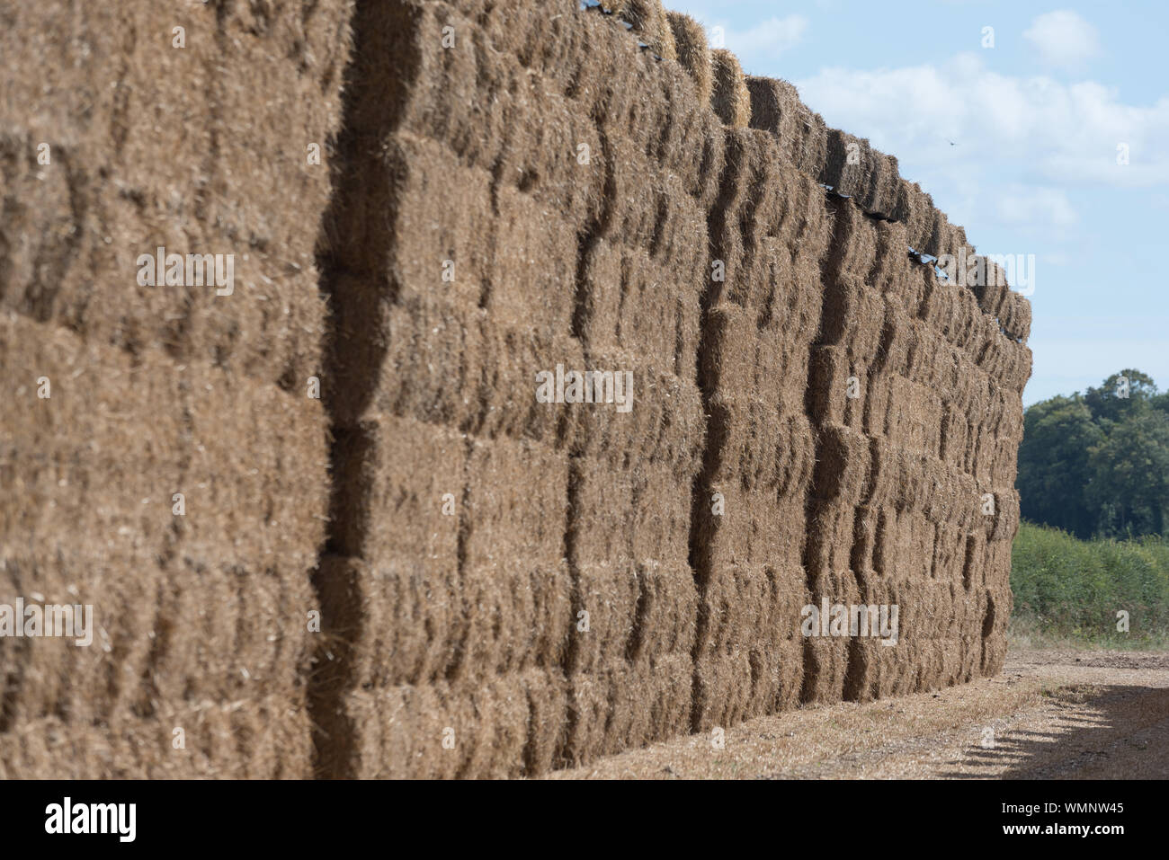 Heuballen legen im Feld bereit, für den Winter zu lagern Vorschub Stockfoto