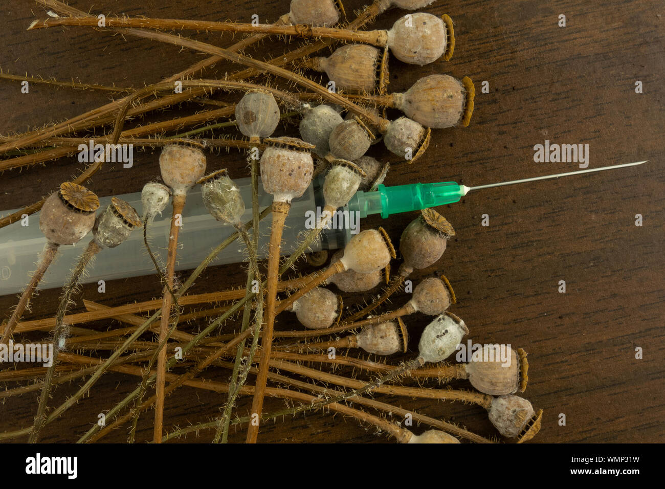 Poppy pods Haufen und benutzte Spritze Makro auf dunklem Hintergrund. Drogen Rohstoff für Opium süchtig. Konzept der Betäubungsmittel Ausgaben Stockfoto