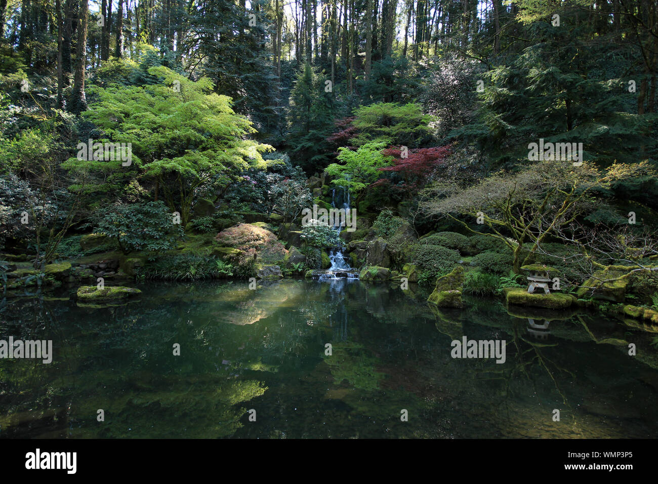 Japanischer garten des teichs Fotos und Bildmaterial in hoher