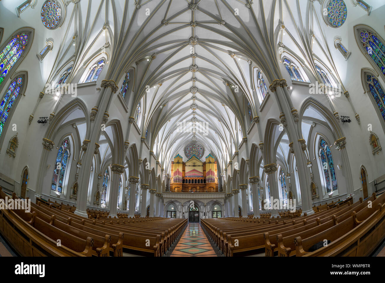 St. Joseph Kathedrale im 50 Franklin Street in Buffalo, New York am 11. Juli 2019. Der Chor verfügt über ein 3.627 Rohr Haken & Hastings Orgel. Die Orgel Stockfoto