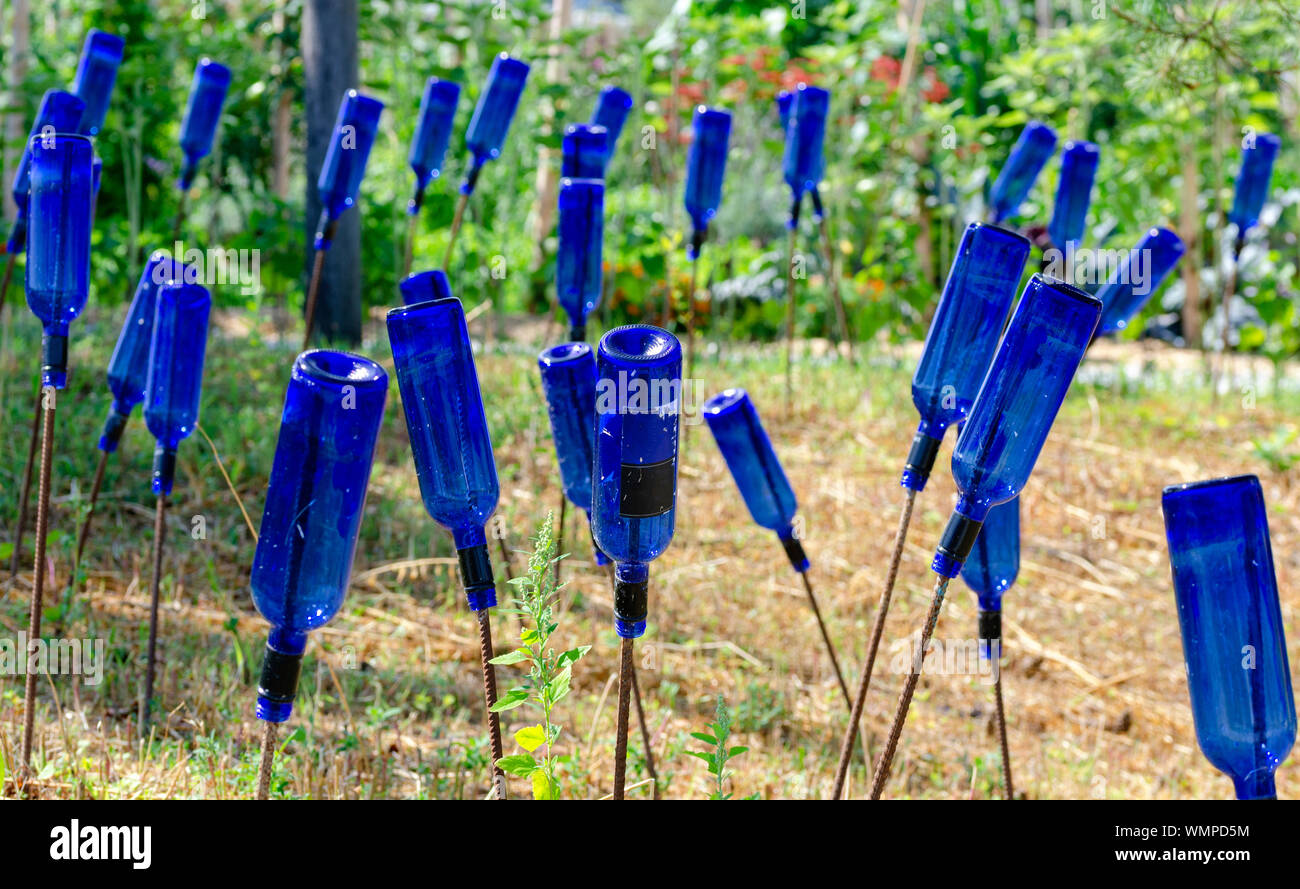 Garten Dekoration von Blau leere Weinflaschen auf den Stangen gemacht Stockfotografie