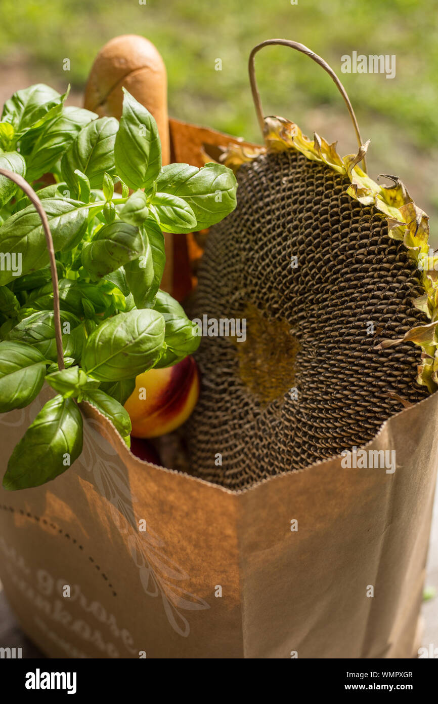 Verschiedene gesunde Lebensmittel in Papiertüte auf Holz- Hintergrund. Gesunde Lebensmittel aus dem Store Stockfoto