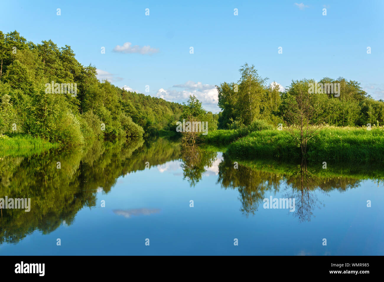 Sommer Landschaft einer ruhigen Altarm in Aue mit bewaldeten Ufer Stockfoto