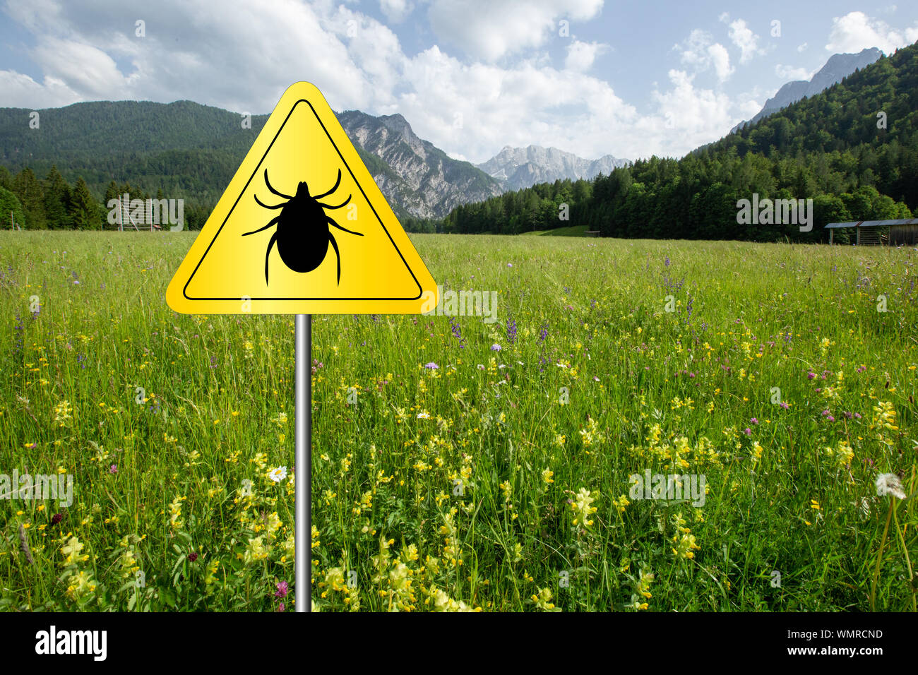 Tick insekt Warnschild auf infizierten Wiese. Borreliose und Hirnhautentzündung, Sender. Stockfoto