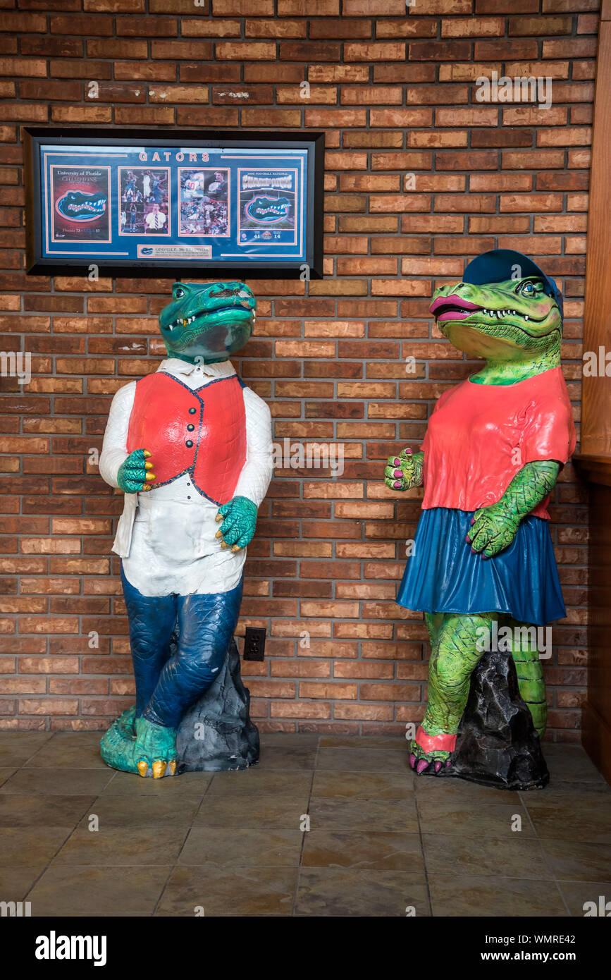 Universität von Florida Maskottchen, Albert und Alberta Gator, Statuen, die in den Eingang zu Perkins Restaurant in Gainesville, Florida. Stockfoto
