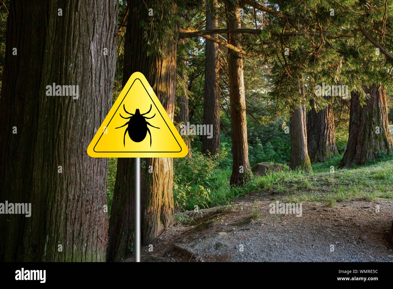 Tick insekt Warnschild in infizierten Wald. Borreliose und Hirnhautentzündung, Sender. Stockfoto