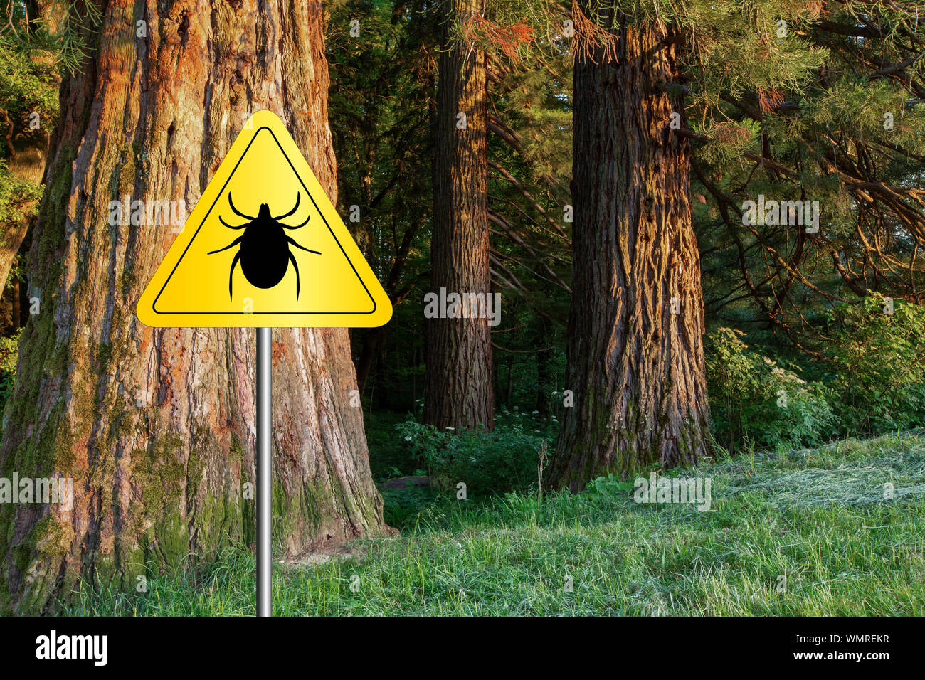 Tick insekt Warnschild in infizierten Wald. Borreliose und Hirnhautentzündung, Sender. Stockfoto