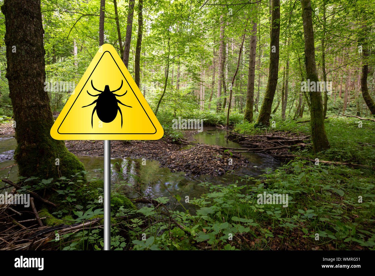 Tick insekt Warnschild in infizierten Wald. Borreliose und Hirnhautentzündung, Sender. Stockfoto
