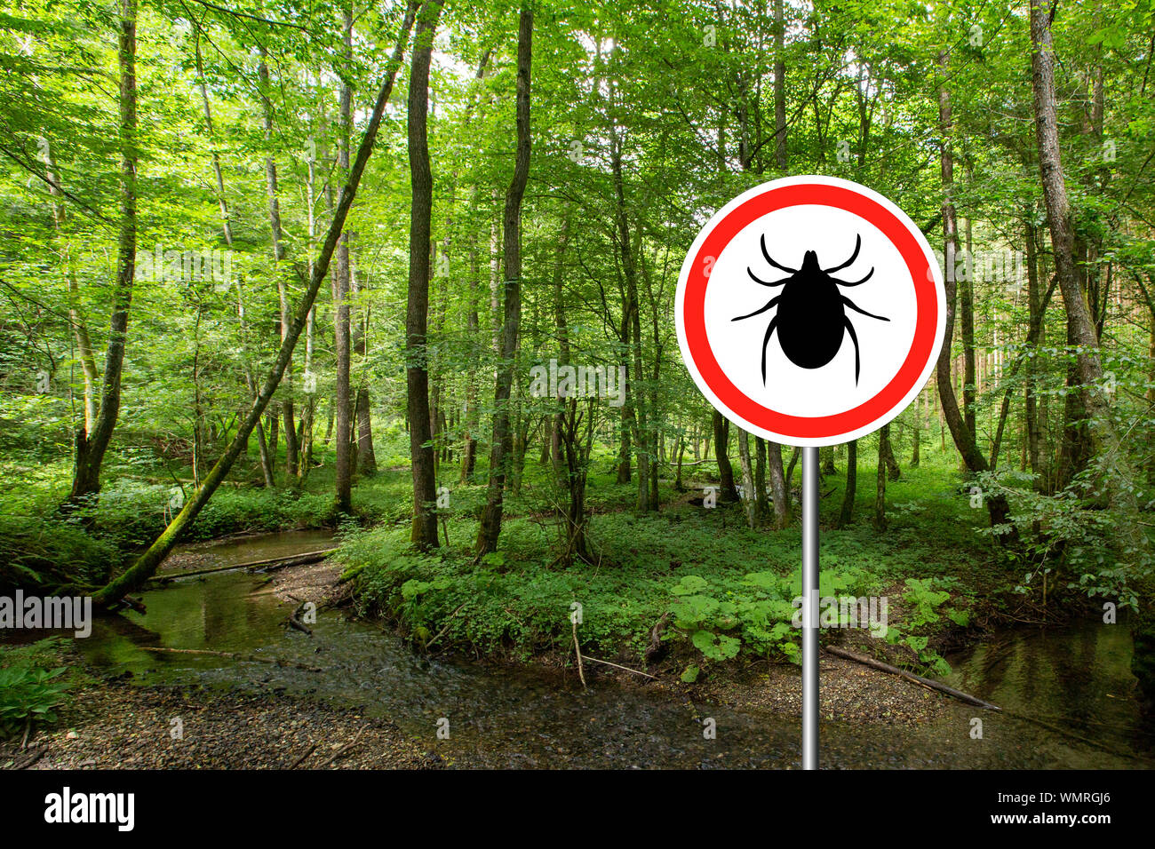 Tick insekt Warnschild in infizierten Wald. Borreliose und Hirnhautentzündung, Sender. Stockfoto