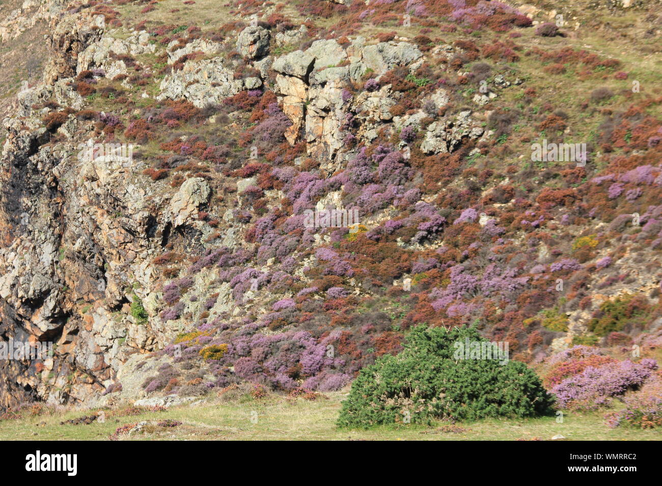 Penmaenmawr, North Wales. Vereinigtes Königreich Stockfoto