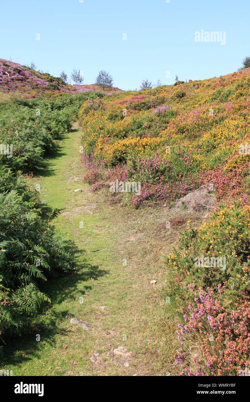 Penmaenmawr, North Wales. Vereinigtes Königreich Stockfoto