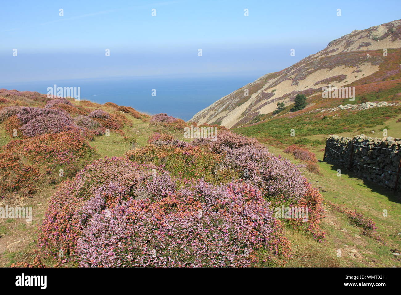 Penmaenmawr, North Wales. Vereinigtes Königreich Stockfoto