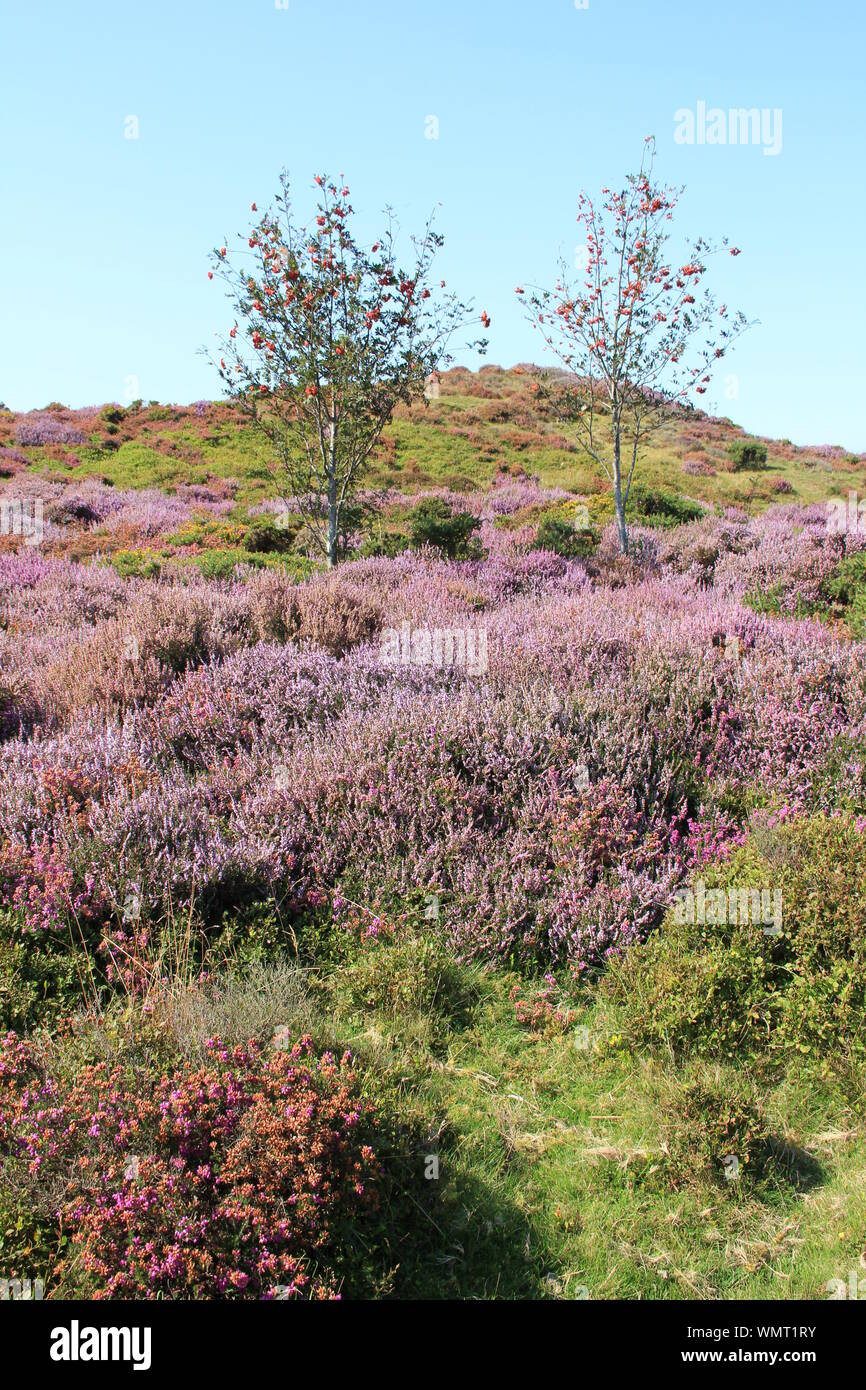 Penmaenmawr, North Wales. Vereinigtes Königreich Stockfoto