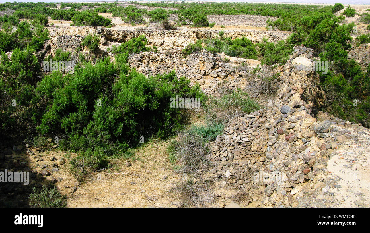 Ruine eines alten historischen archäologischen Ausgrabungen von Adulis, Zula, Eritrea Stockfoto