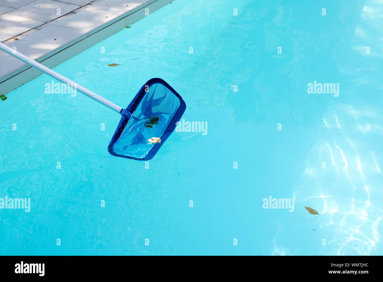 Entfernen von Blättern aus einer heimischen Swimmingpool mit Net Stockfoto
