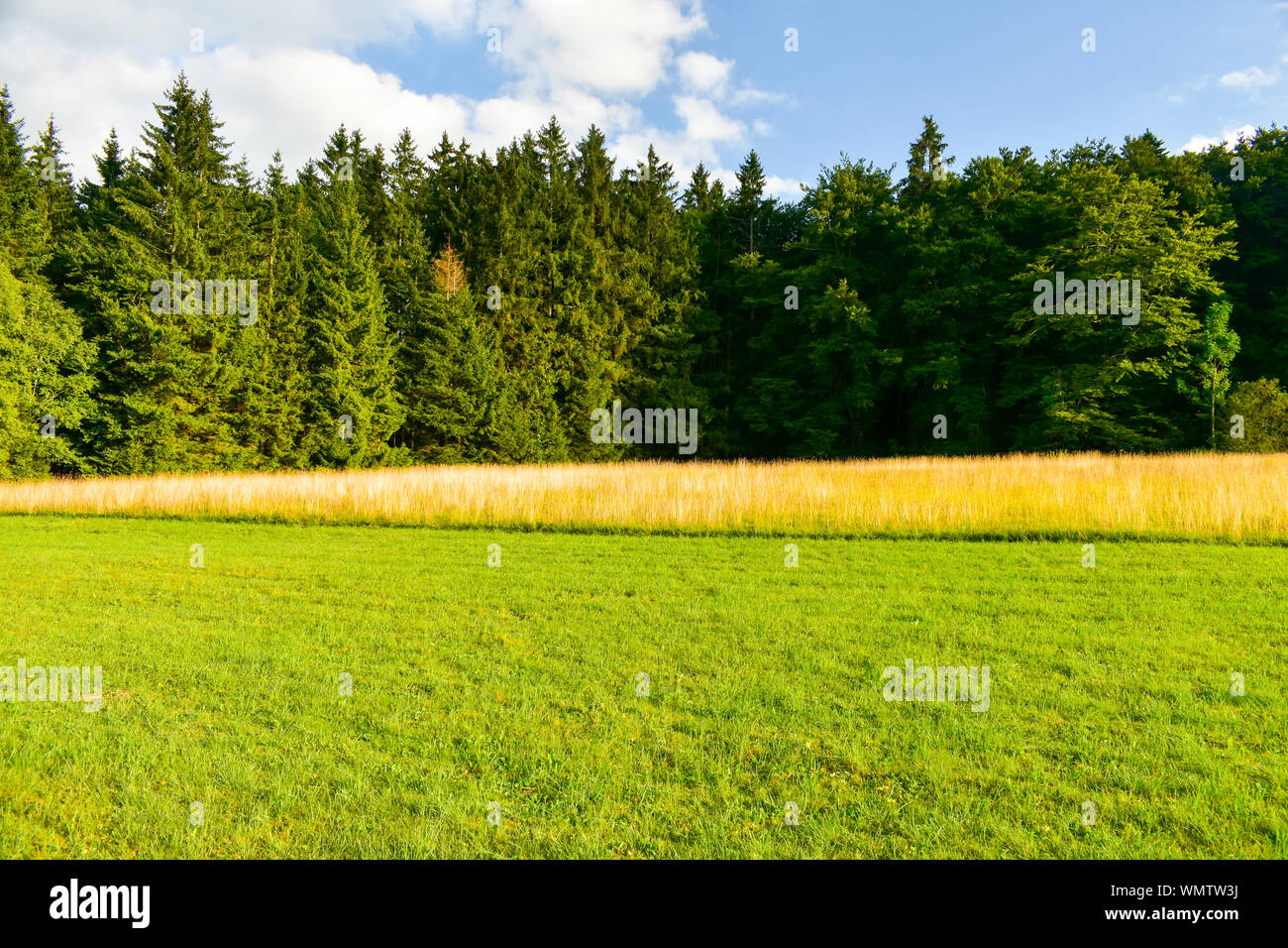Panoramablick auf die Schwäbische Alb, Hochland Deutschland. Stockfoto