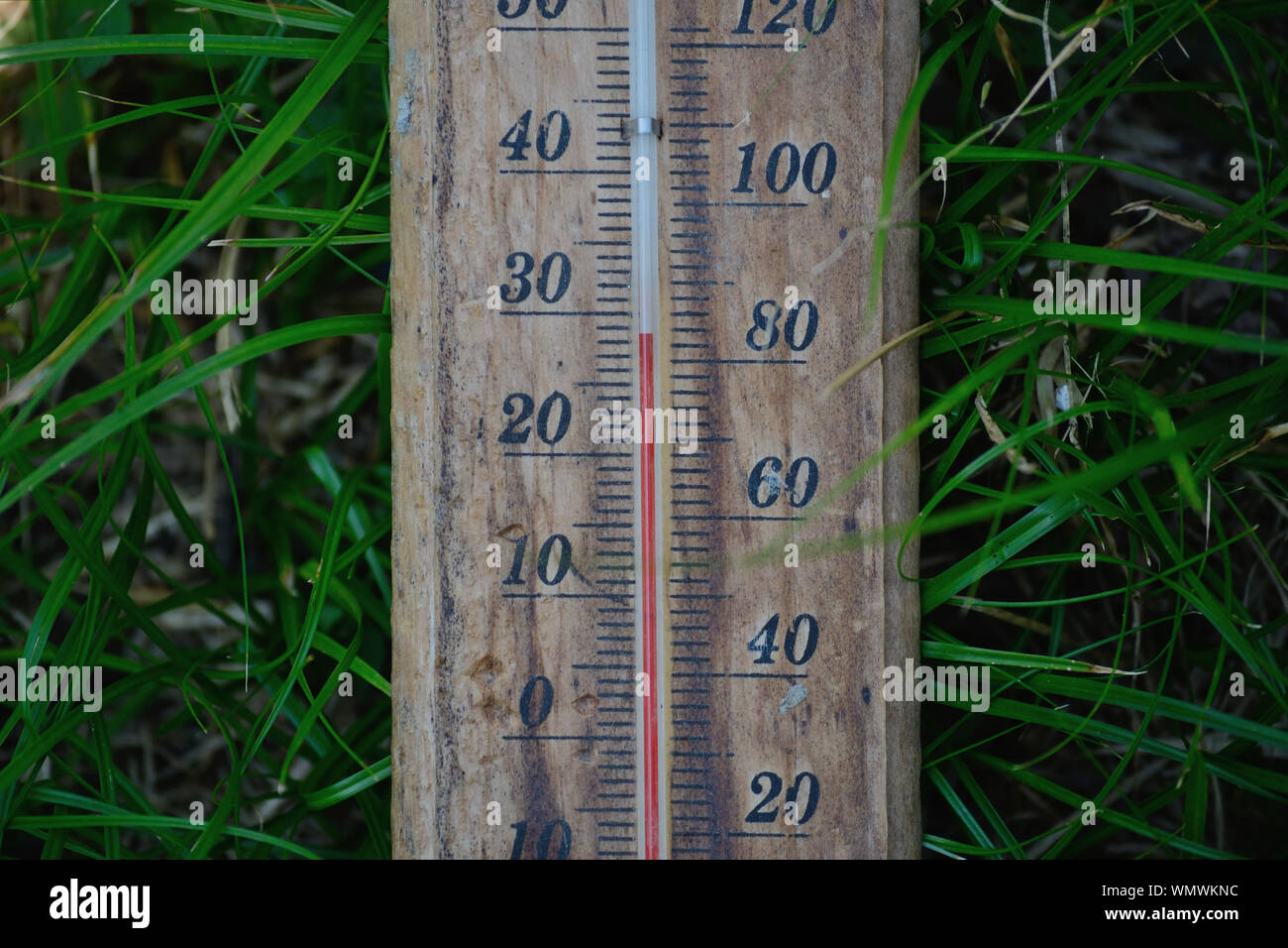 Alte Holz- thermometer auf Gras Hintergrund zeigt 29 Grad Stockfoto