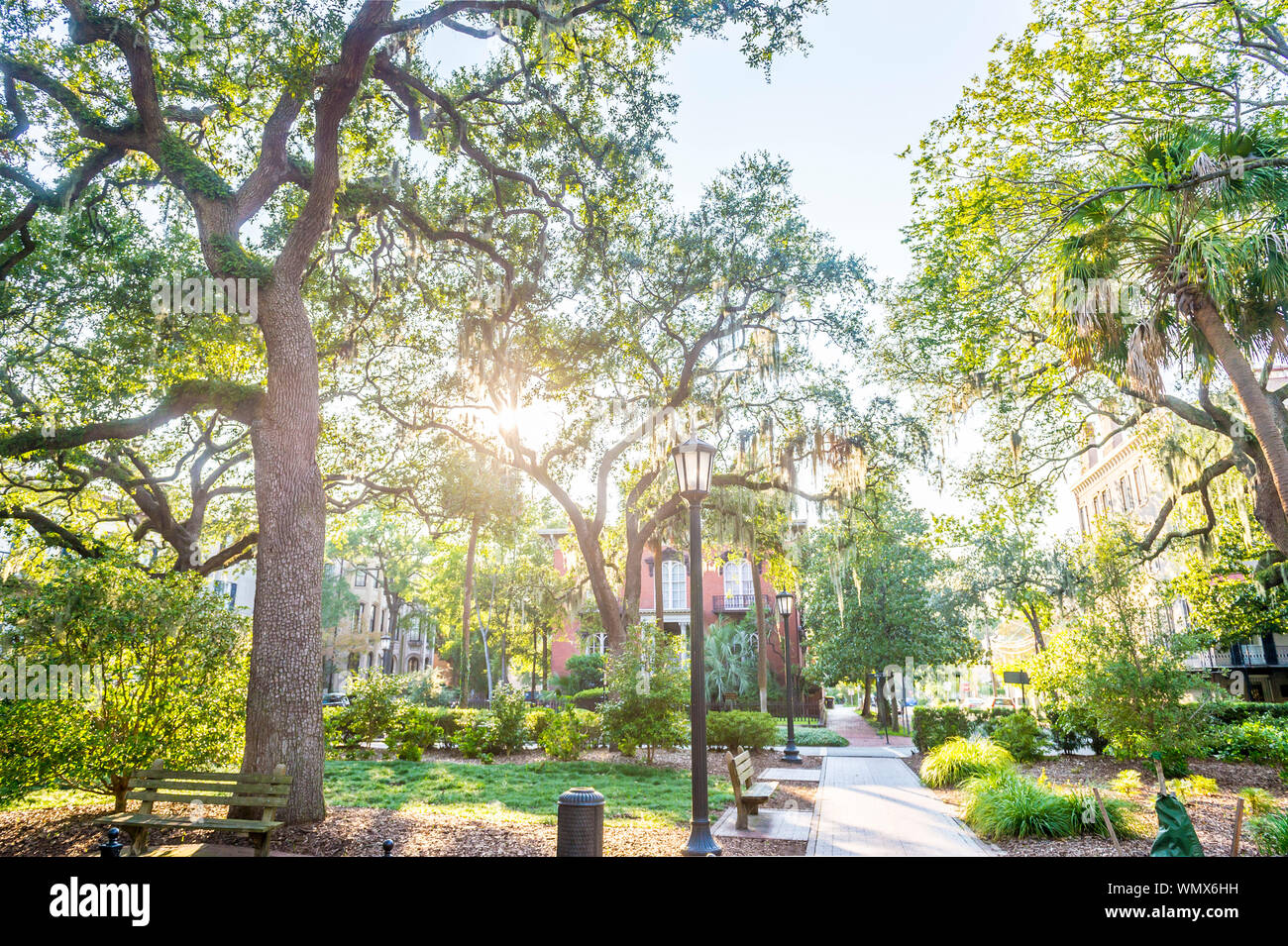 Helle malerischen Blick auf tropische Sonne Streaming durch spanische Moos von Eichen in einem grünen Platz in Savannah, Georgia, USA Stockfoto
