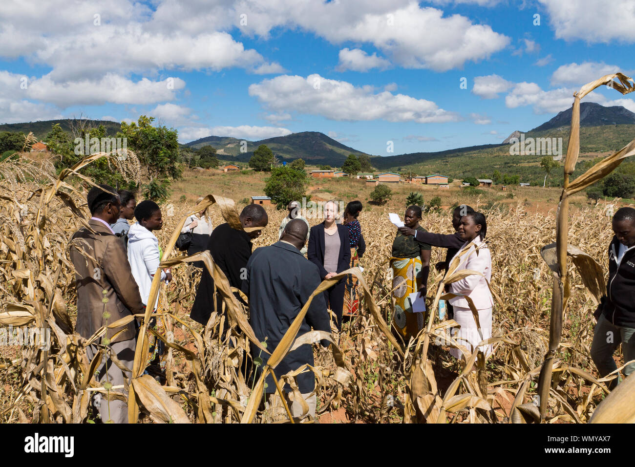 Holly Tett, britische Hochkommissar in Malawi, spricht mit lokalen Bauern und UK Charity Arbeiter auf ein Feld Besuch in landwirtschaftlichen Gebieten um Mzuzu. Stockfoto