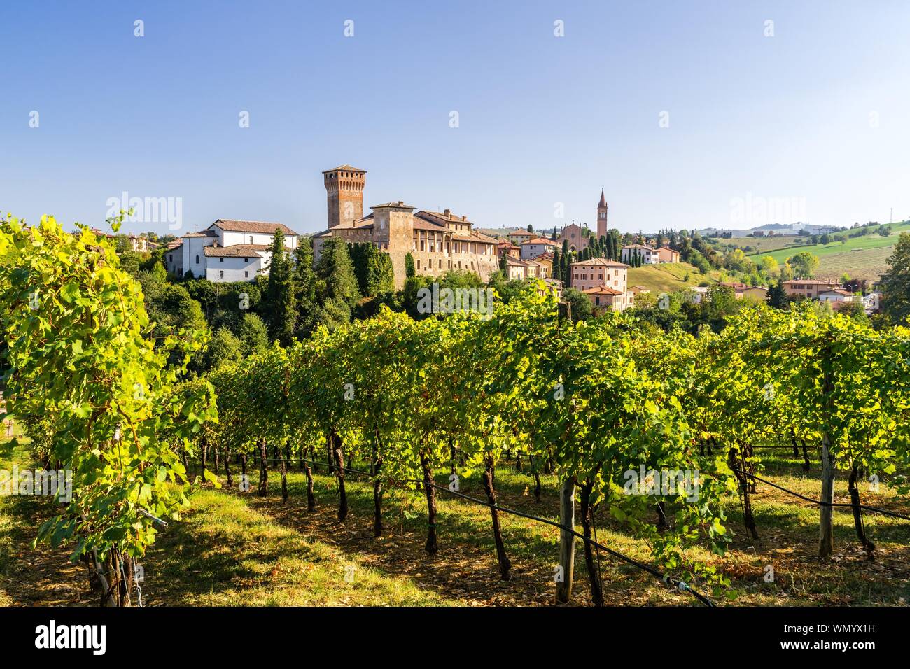 Weinberge vor dem Castello di Levizzano Rangone, levizzano Rangone, Emilia-Romagna, Italien Stockfoto