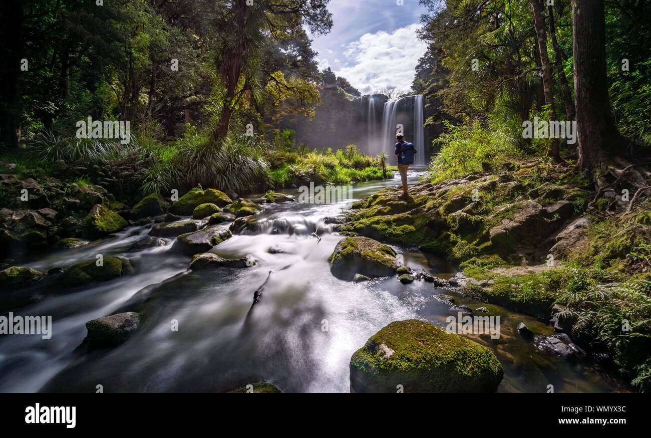 Junger Mann, der vor Wasserfall, Whangarei Falls, Flusses Hatea, Whangarei Falls Scenic Reserve, Northland, North Island, Neuseeland Stockfoto