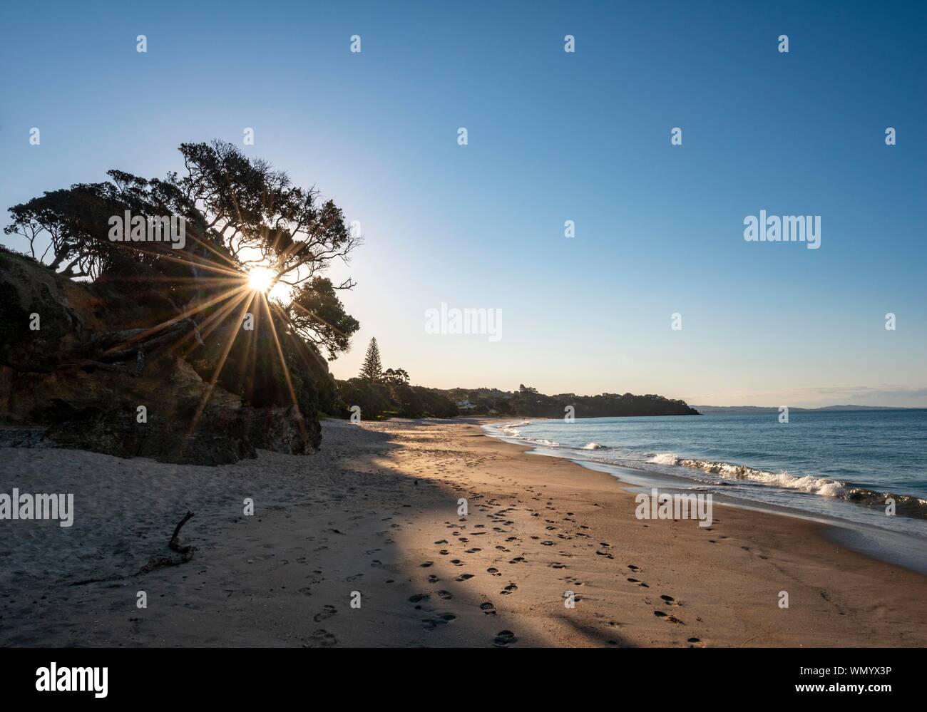 Die Sonnenstrahlen scheinen durch Bäume auf dem Sandstrand, Abendlicht, Langs Beach, in der Nähe von mangawhai Kopf, Northland, Neuseeland Stockfoto