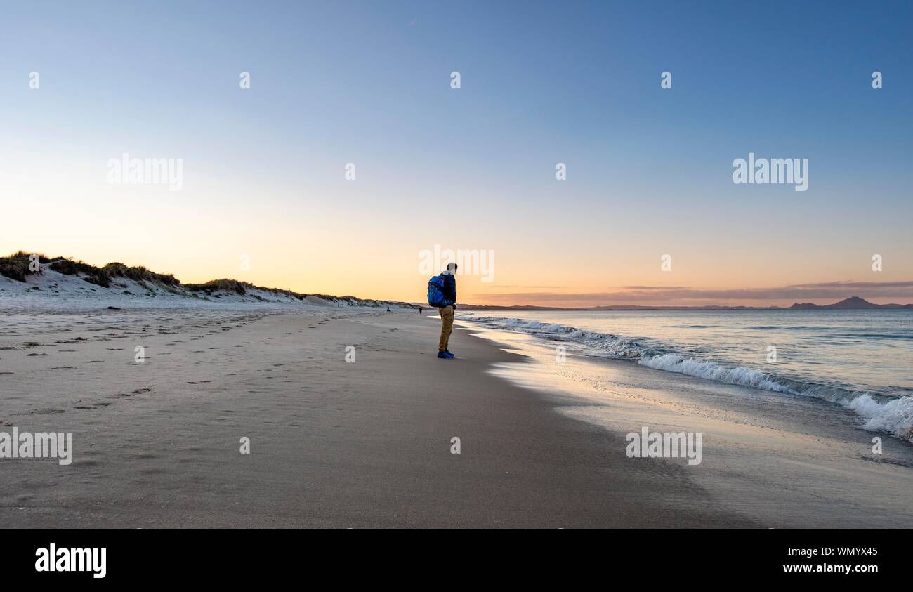 Junger Mann zu Fuß am Strand entlang, Strand Waipu Strand bei Sonnenuntergang, waipu Cove, Northland, Neuseeland Stockfoto