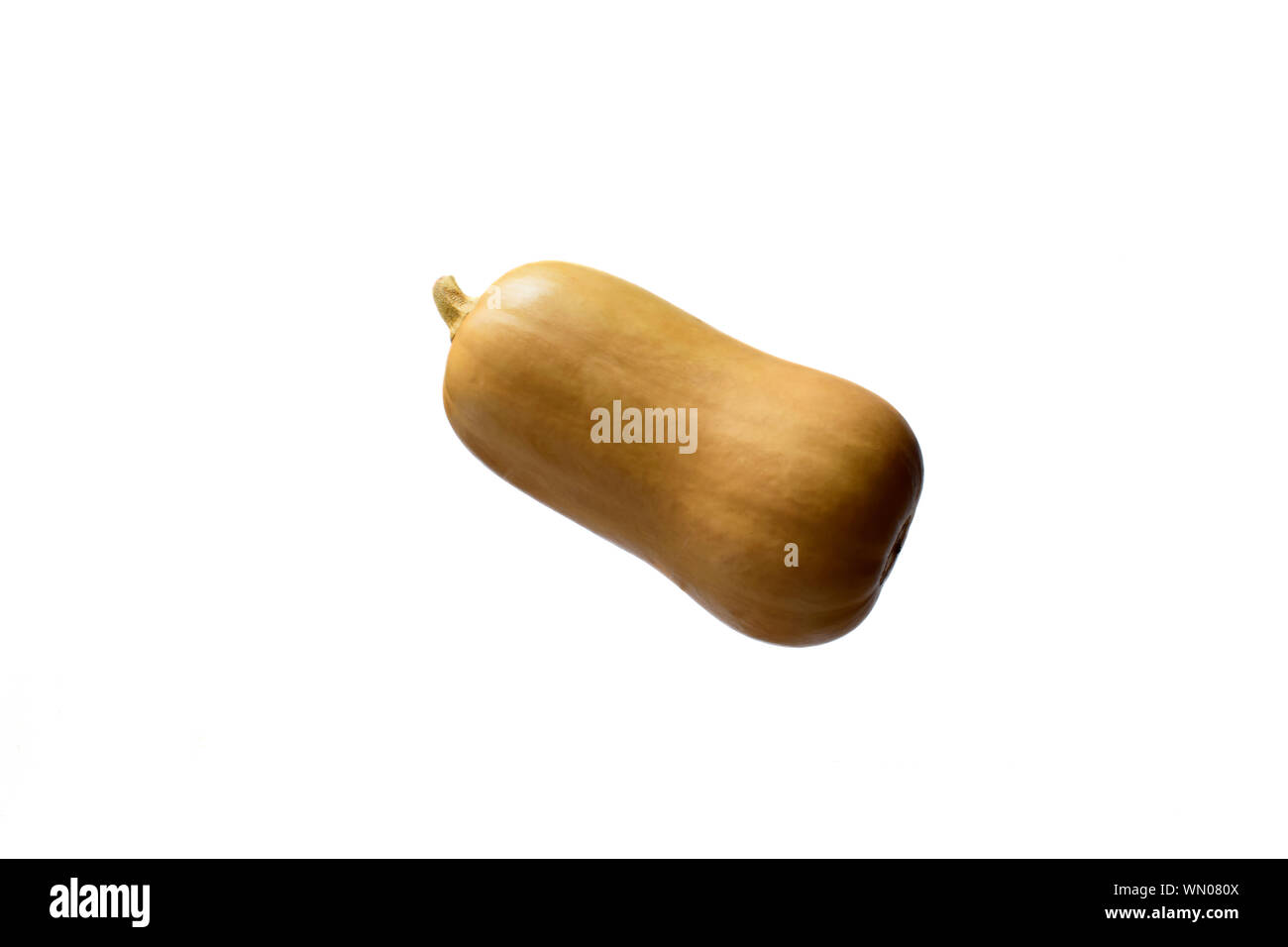 Butternut Kürbis auf weißem Hintergrund. Stockfoto