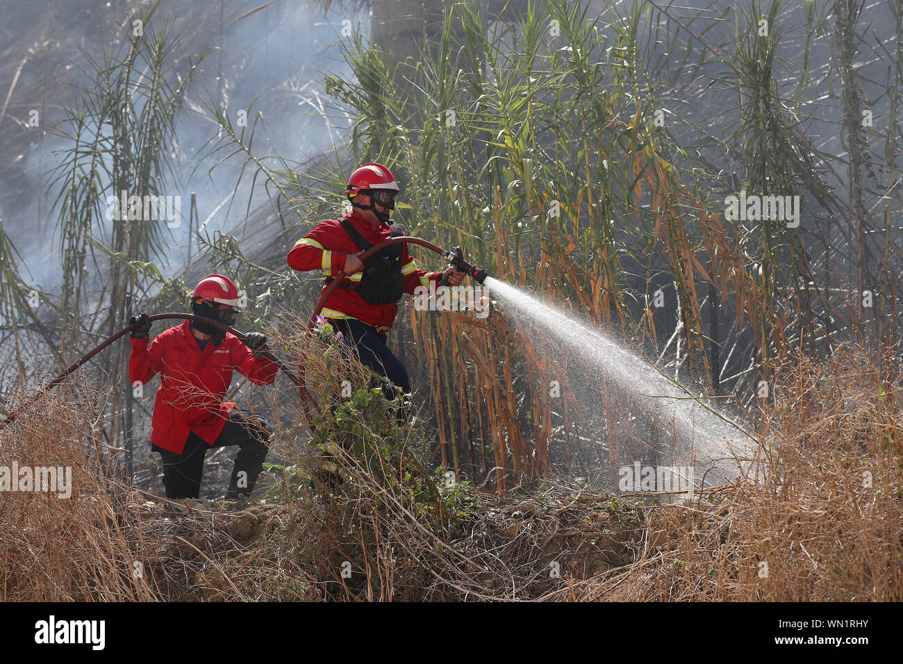 Lissabon, Portugal. 5. Sep 2019. Feuerwehrleute versuchen, ein Buschfeuer in Lissabon, Portugal, an Sept. 5, 2019 zu löschen. Eine bush Feuer am Donnerstag in Lissabon brach, lokale Medien berichtet. Credit: Pedro Fiuza/Xinhua Stockfoto