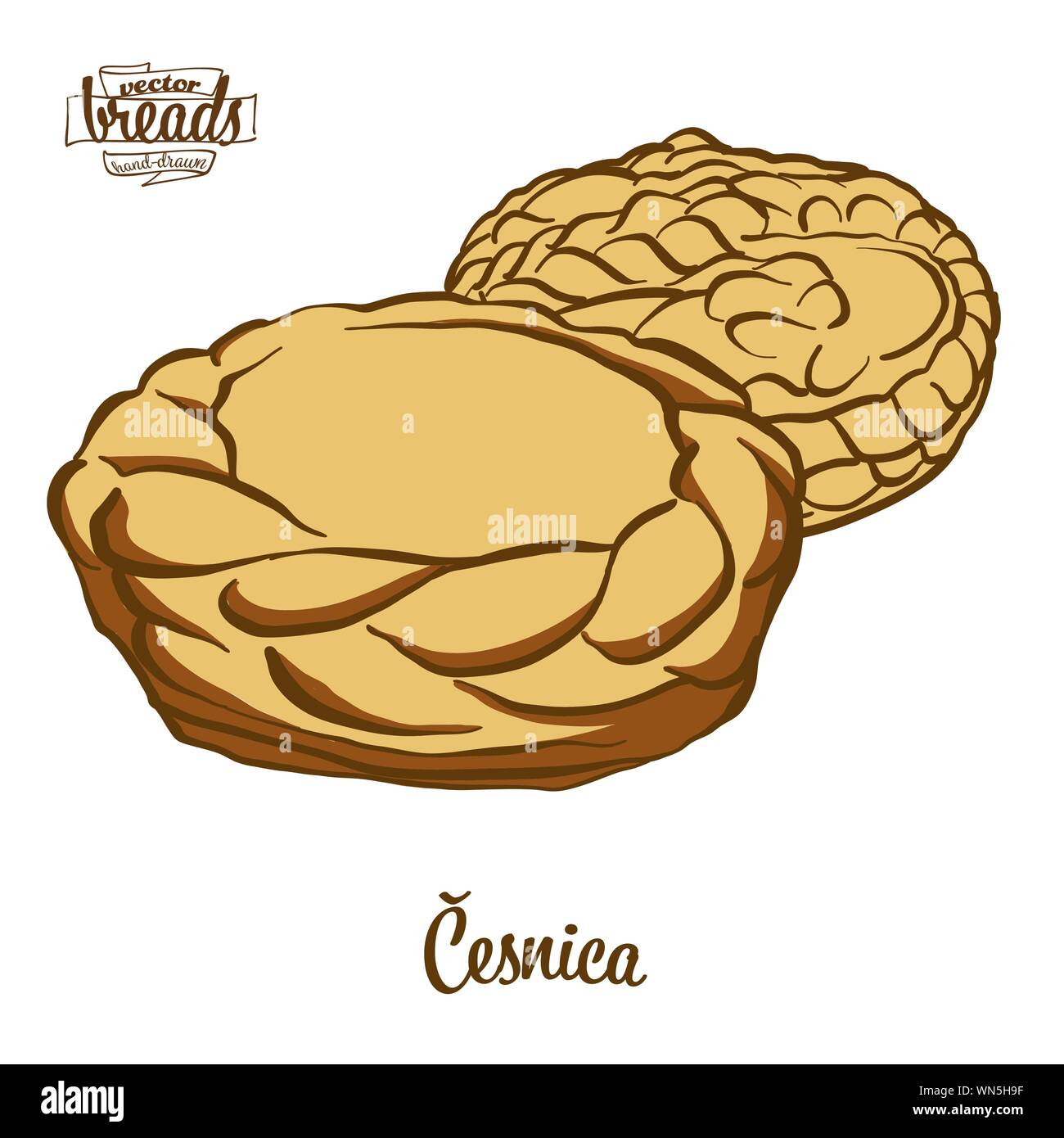 Farbige Zeichnung der Cesnika Brot. Vector Illustration von Soda Brot essen, in der Regel in Serbien bekannt. Farbige Brot Skizzen. Stock Vektor