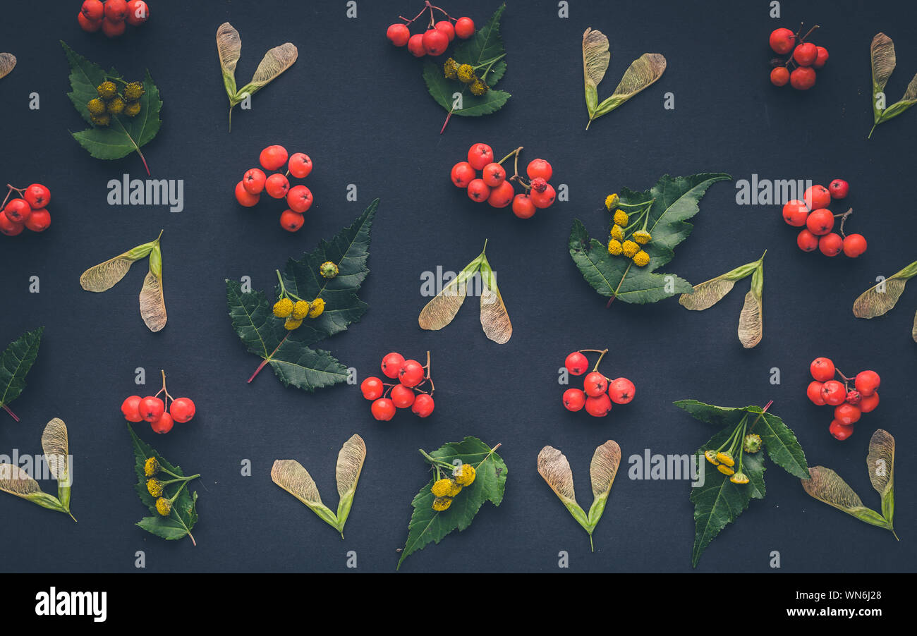 Herbst Blumen Muster von Früchten und Beeren auf einem dunklen Hintergrund. Ansicht von oben Stockfoto