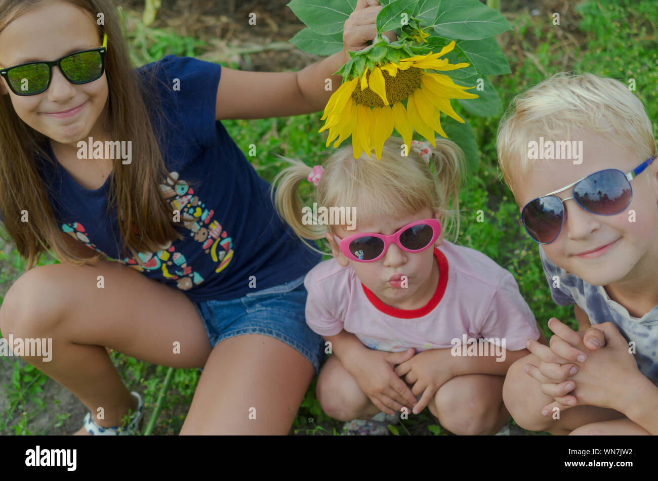 Kinder unter 8 Jahren Alle zusammen Tragen einer Brille vor dem Hintergrund des grünen Grases und gelbe Sonnenblumen. Stockfoto