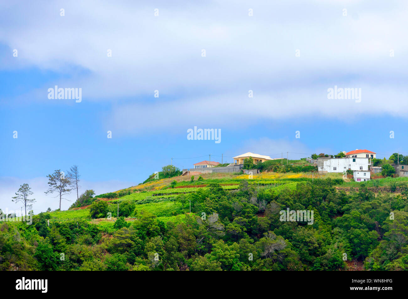 Malerische Aussicht auf Green Mountain gegen bewölktem Himmel Stockfoto